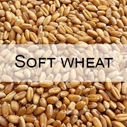 Soft wheat CRM with protein moisture gluten falling number